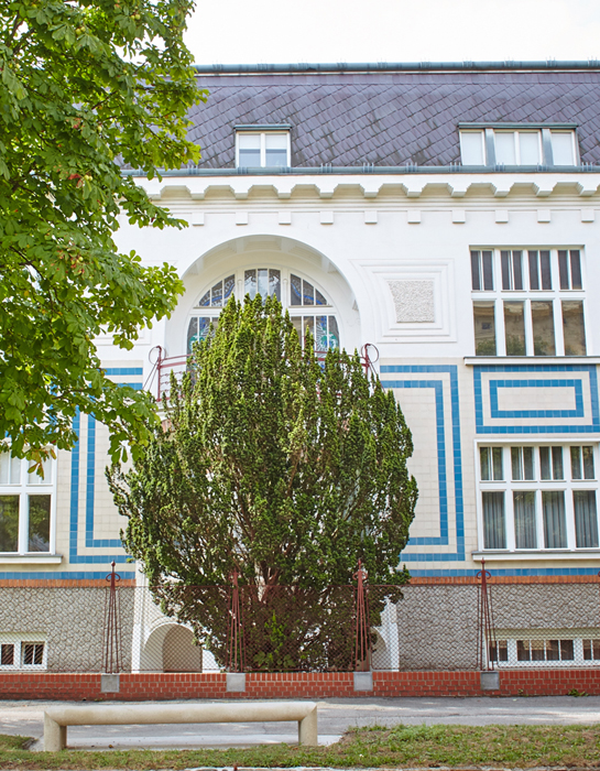 Ein Foto der Loos Villa
