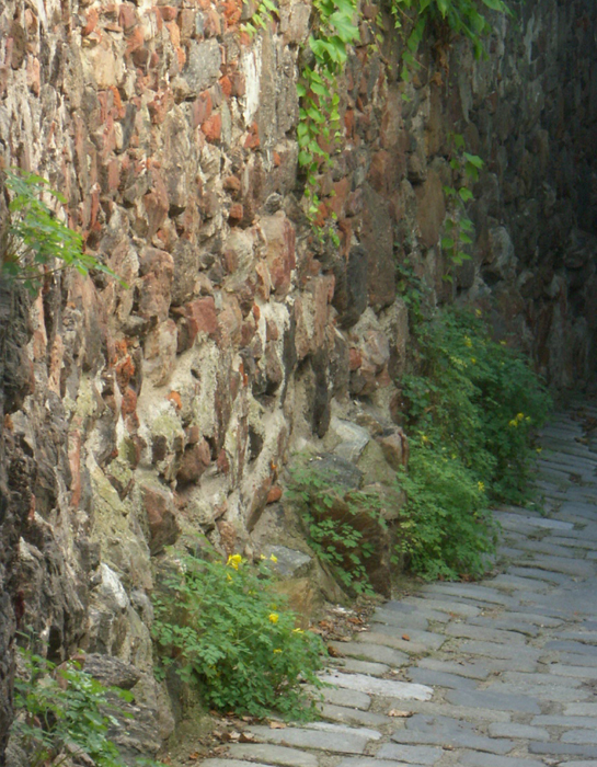 Ein Foto der alten stadtmauer mit Blätter.