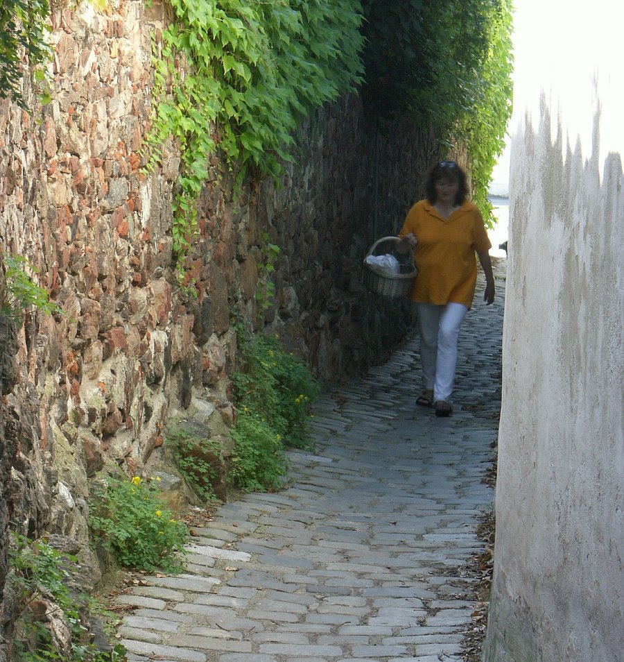 Ein Foto der alten Stadtmauer