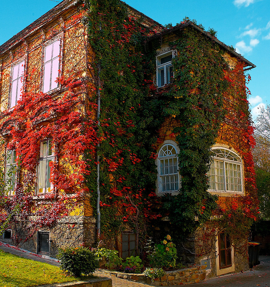 Ein Foto von einer Villa mit bunten Herbstblättern an der Fassade